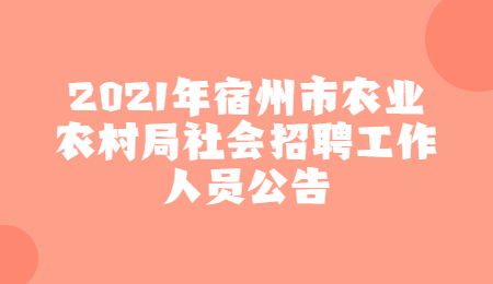 宿州社会招聘