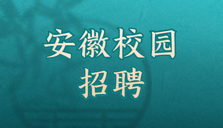 2022年合肥金玖财企业管理咨询有限公司校园招聘简章