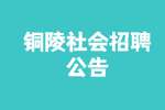 2022铜陵市社会保险事业管理服务中心招聘4人公告