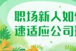 职场新人如何快速适应公司环境