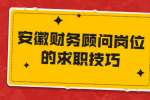 安徽财务顾问岗位的求职技巧