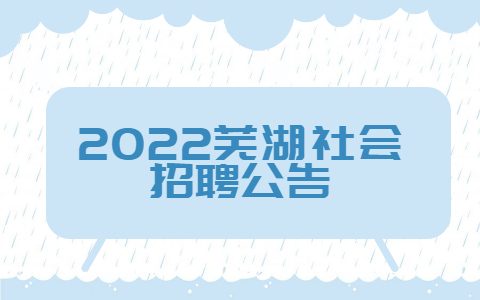 2022芜湖社会招聘公告