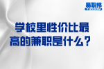 学校里性价比最高的兼职是什么？