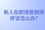 安徽职场人际关系处理：新人在职场受到排挤该怎么办?