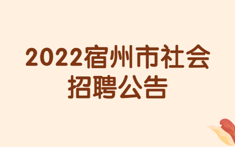 2022宿州市社会招聘公告