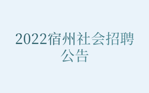 2022宿州社会招聘公告