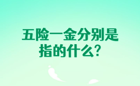 安徽五险一金