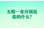 五险一金分别是指的什么?