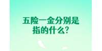 五险一金分别是指的什么?