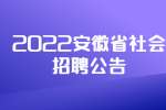 2022安徽省引江济淮工程有限责任公司社会招聘65人公告
