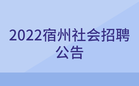 2022宿州社会招聘公告