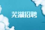 安徽芜湖无为市城区招聘调教师公告