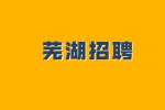 安徽芜湖南陵县招聘村级干部公告