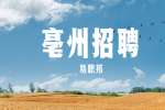 安徽亳州市谯城区招聘中小学生教师公告