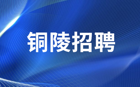 安徽铜陵市义安区财政局招聘