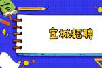 2022年宣城市市直某机关单位劳务派遣人员招聘公告