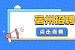 宿州招聘：2022年灵璧县司法局招聘司法行政辅助人员公告（9名）