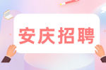 安庆企业招聘营销主管