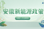 在安徽购买了新能源汽车有什么补贴政策吗？