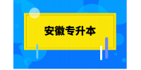 2024年安徽专升本有什么院校可以推荐吗？