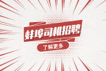 蚌埠招聘公交车司机需要满足什么条件？