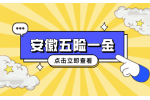 在安徽企业交的五险一金比例大概是多少？