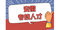 在安徽专技人才需要满足什么条件？