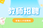 2024年度合肥市直属学校新任教师公开招聘公告