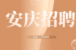 安庆企业招聘电商运营3名