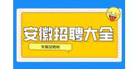 安徽人才网：有什么工作适合年轻人做?