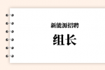 合肥新能源招聘组长