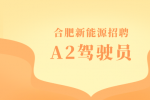 合肥新能源招聘A2驾驶员